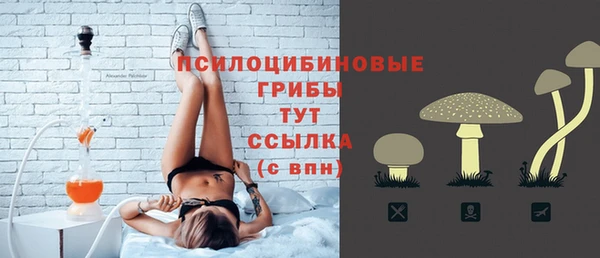 ешки Абаза