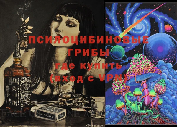 ешки Абаза