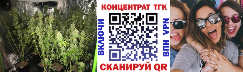купить закладку  Новотроицк  ТГК концентрат 