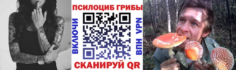 купить   Новотроицк  Галлюциногенные грибы прущие грибы 